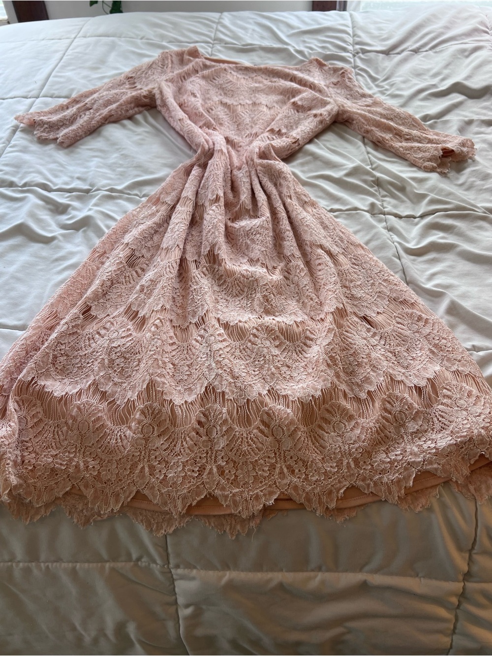 Dainty Jewells Blush Lace Long Sleeve Midi Dress - Picture 2 of 3